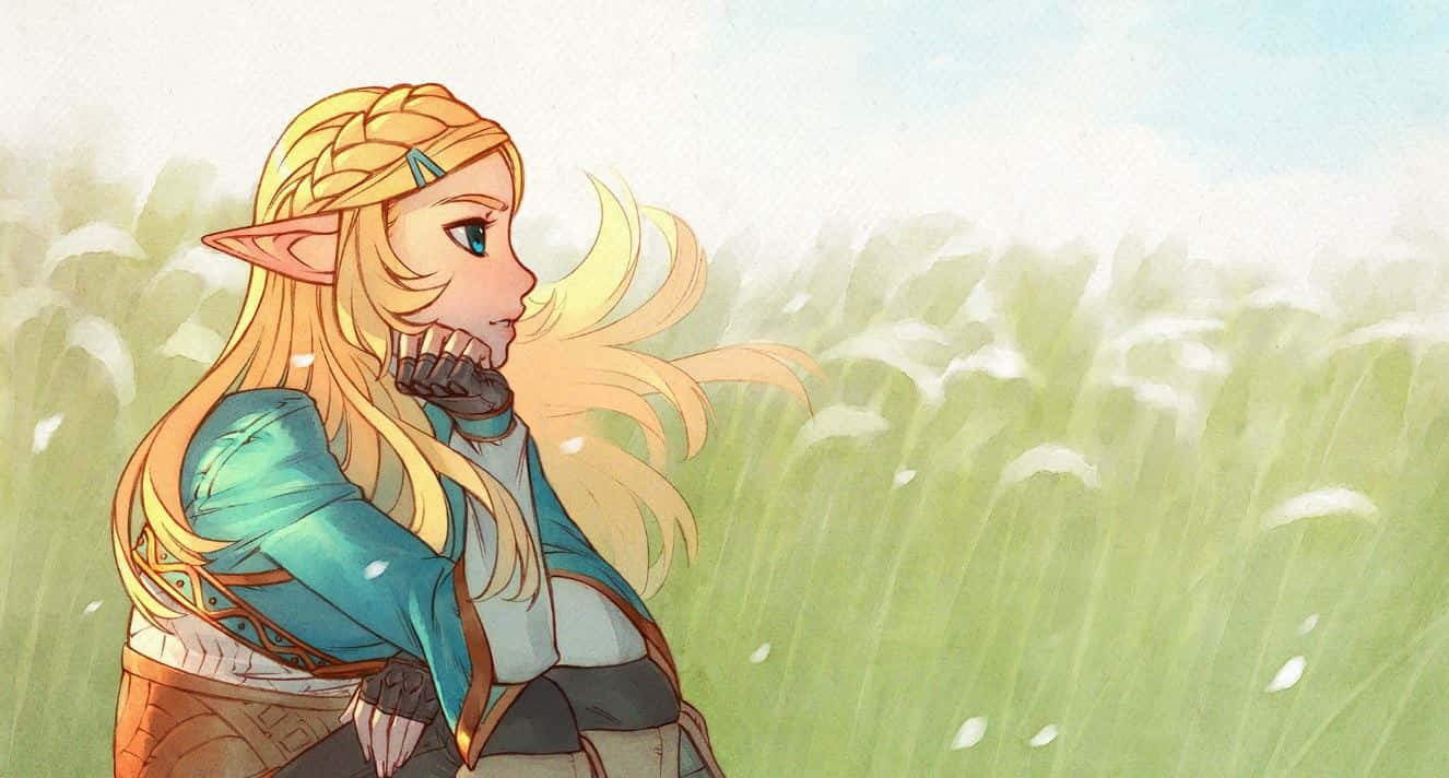 Φόντο Zelda Ταπετσαρία