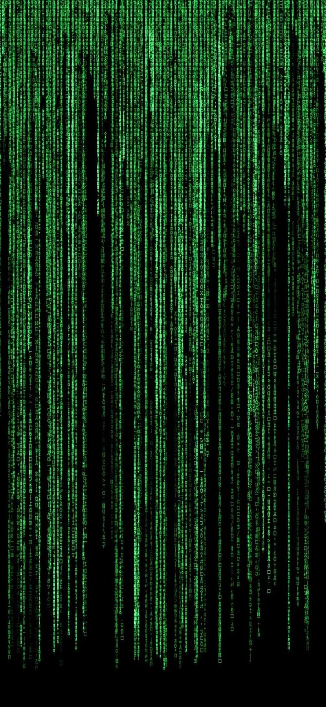 Φόντο Προγραμματισμού iPhone XS Πράσινος Matrix Ταπετσαρία