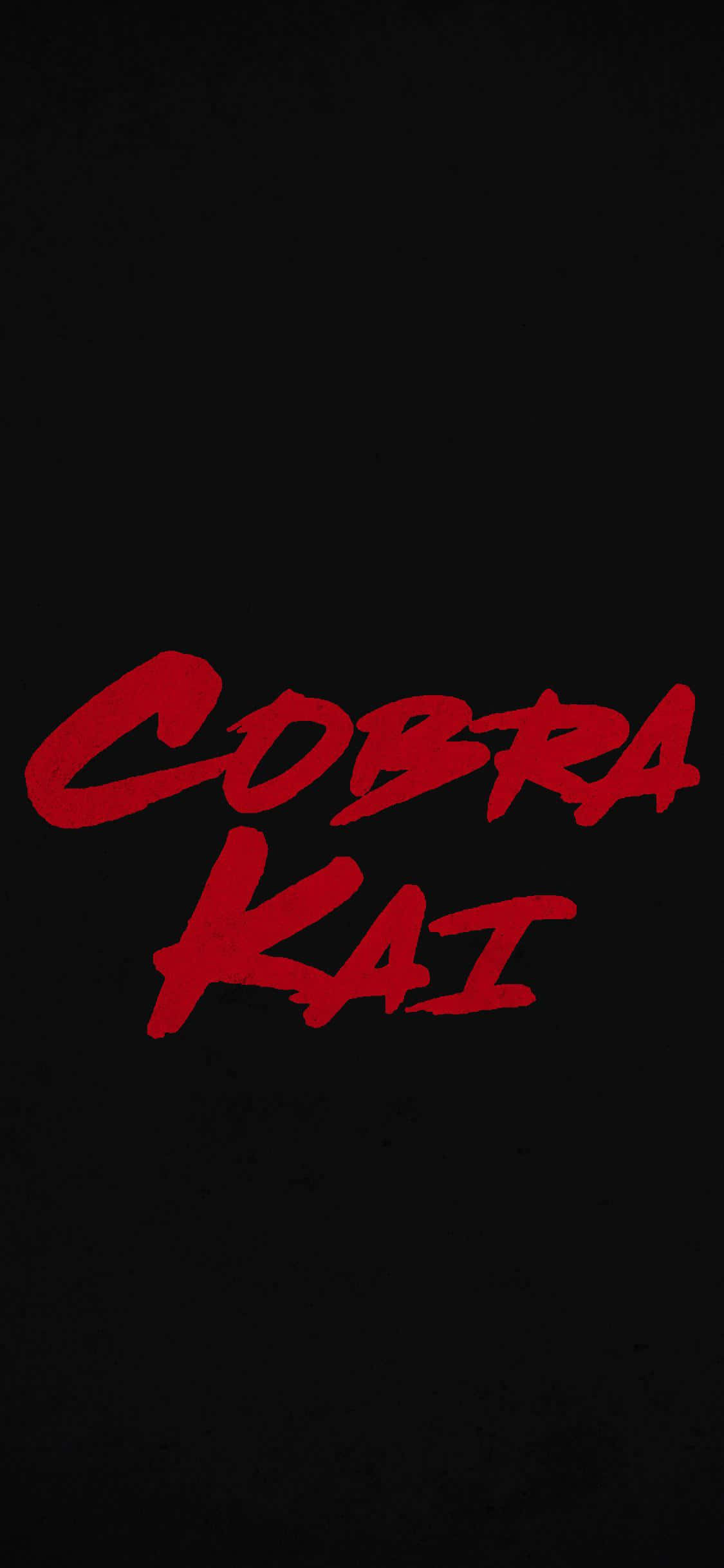 Φόντο Τίτλου Cobra Kai για iPhone Xr Ταπετσαρία