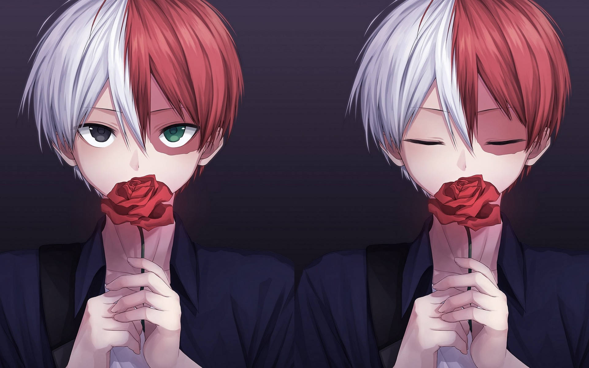 Χαριτωμένος Todoroki με Κόκκινο Τριαντάφυλλο Ταπετσαρία