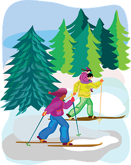 Χειμερινή Περιπέτεια Σκι στο Δάσος Ταπετσαρία