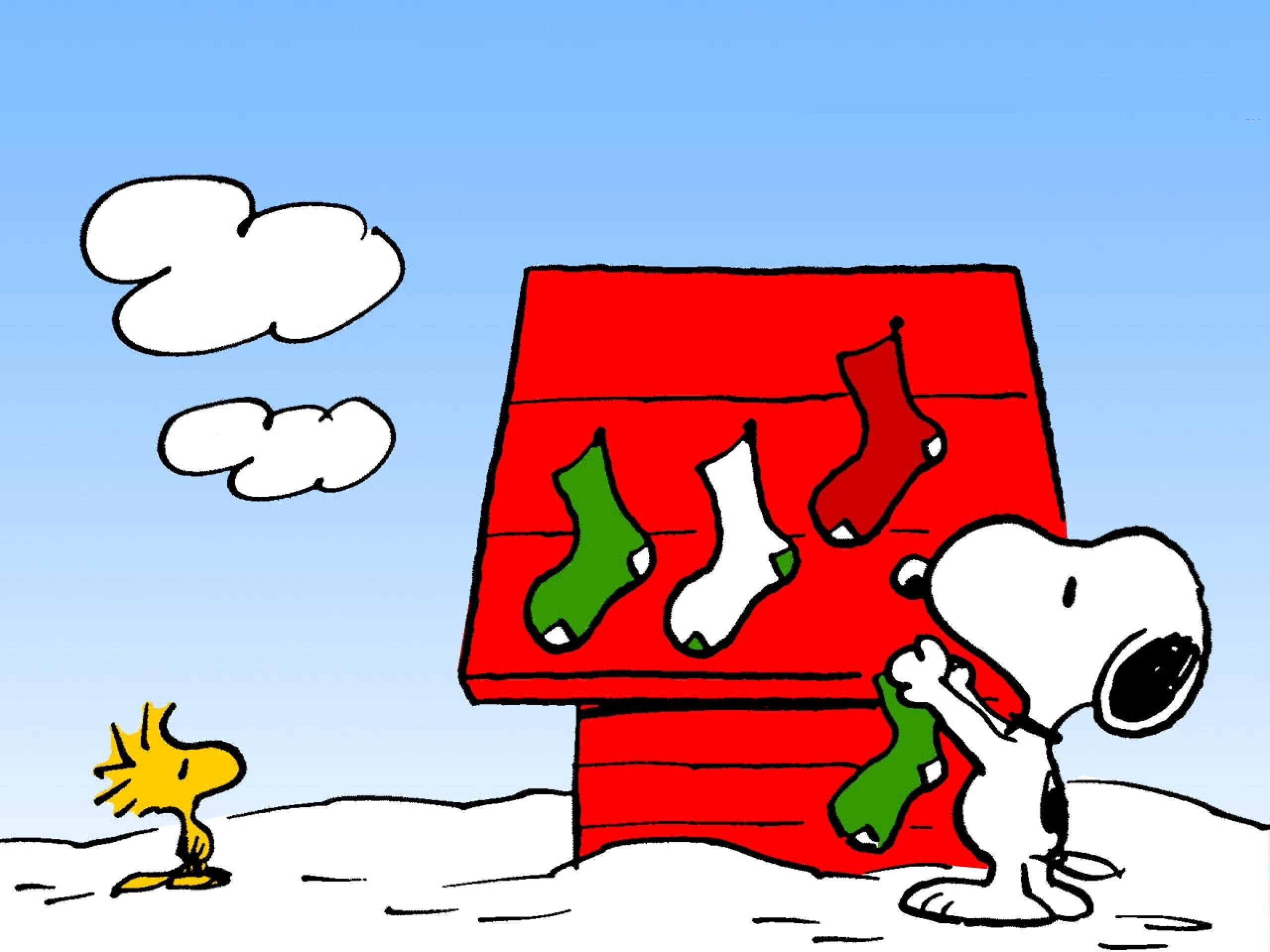 Χριστουγεννιάτικες Κάλτσες Snoopy Ταπετσαρία