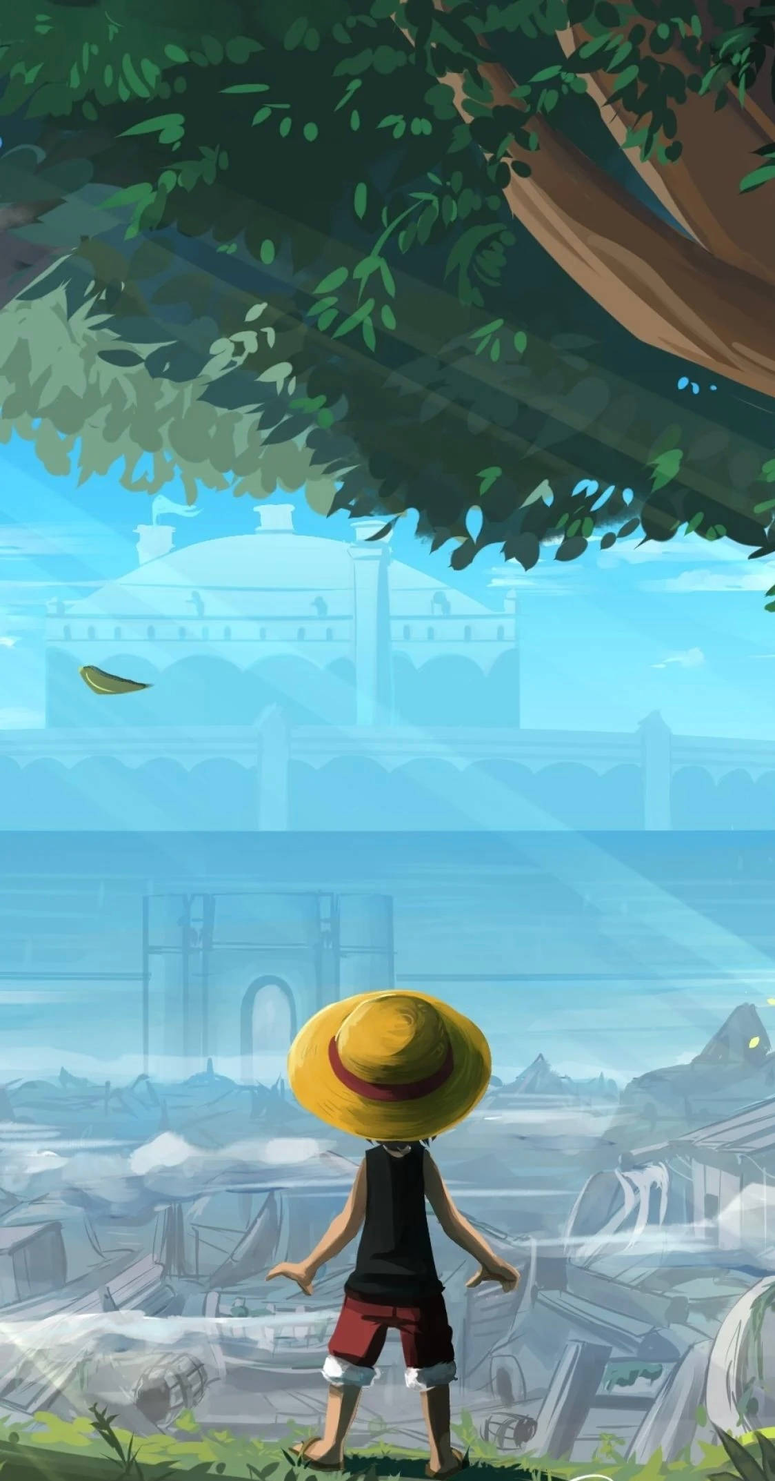 Ψηφιακός Πίνακας One Piece Luffy για iPhone Ταπετσαρία