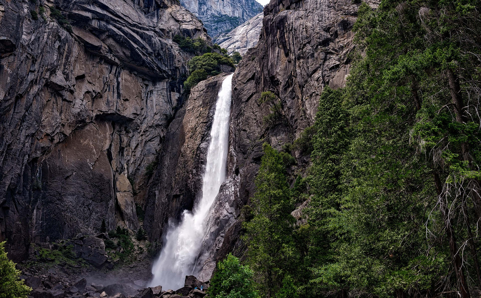 Όμορφοι Καταρράκτες Yosemite στο Δάσος Ταπετσαρία
