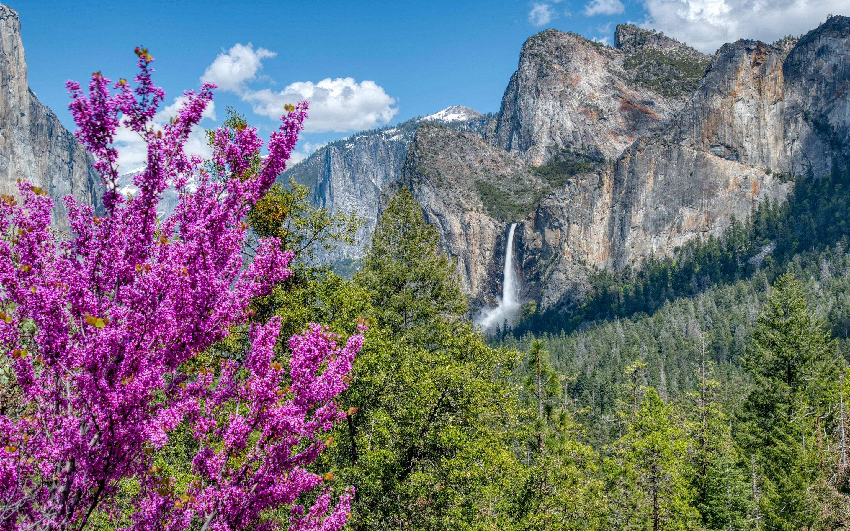 Όμορφος Καταρράκτης Yosemite Ταπετσαρία