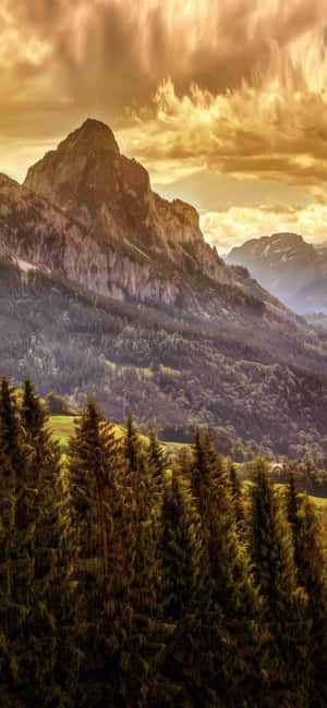 1080x2340 4k — Vivo V50e Ταπετσαρία