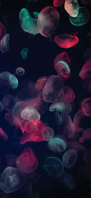 1170x2532 — 1170x2532 Ταπετσαρία
