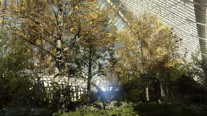 1920x1080 Το Talos Principle Φόντο — Βιντεοπαιχνίδι GIF Ταπετσαρία