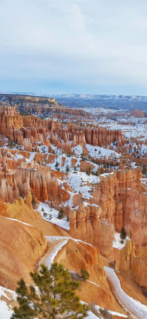 Bryce Canyon National Park Snow Shower — Motorola Edge (2025) Ταπετσαρία