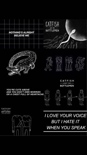 Catfish and the Bottlemen Εναλλακτική Αισθητική