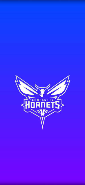 Ταπετσαρία Charlotte Hornets Gradient Blue — iPhone 17 Ταπετσαρία