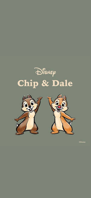 Ταπετσαρία Chip N Dale σε γκρι φόντο — Huawei Pura 80 Pro Ταπετσαρία