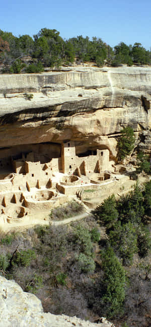 Cliff Palace Tan Color Mesa Verde National Park — Vivo X300 Ultra Ταπετσαρία