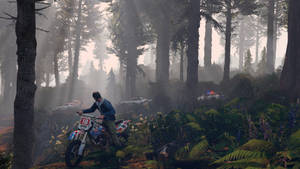 Cool GTA: Αποτινάσσοντας την Αστυνομία — GTA Ταπετσαρία
