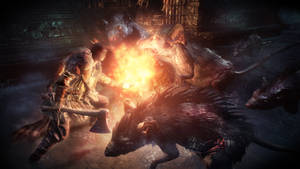 Dark Souls III Γιγάντιοι Αρουραίοι — Dark Souls 3 Ταπετσαρία