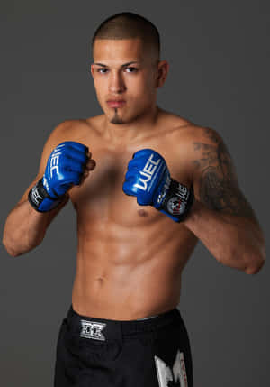 Hot Latino Μαχητής UFC Anthony Pettis — IQOO Pad5c Ταπετσαρία