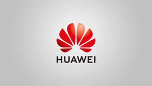 Ταπετσαρία Huawei Κίνα μάρκα τέχνη — Huawei Ταπετσαρία