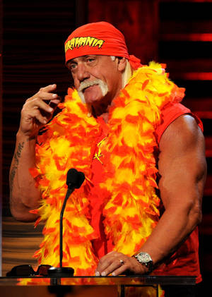 Ταπετσαρία Hulk Hogan με φτερό μπόα — Oppo Pad 4 Pro Ταπετσαρία