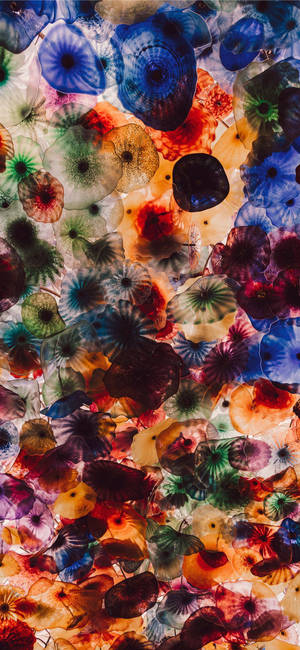 Ταπετσαρία IPHone 11 Pro Max Colorful Jellyfish — iPhone 11 Pro Max Ταπετσαρία