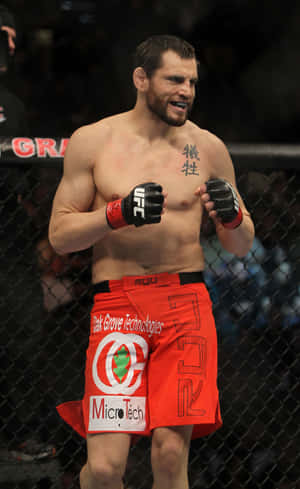 Jon Fitch Όρθιος στο Οκτάγωνο UFC 141 — Honor Pad Ταπετσαρία
