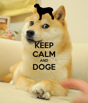 Ταπετσαρία Keep Calm And Doge Meme — Motorola Razr 70 Ultra Ταπετσαρία