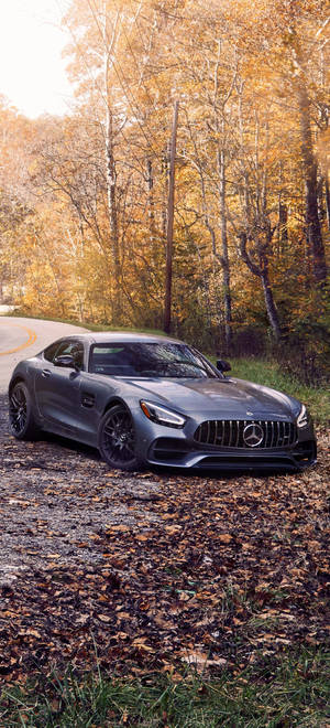 Mercedes AMG iPhone Φθινοπωρινά Δέντρα — Galaxy S25 Ταπετσαρία