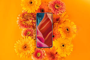 Oppo Smartphone και Ανθισμένη Χλωρίδα