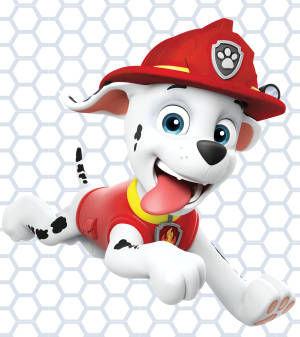 Ταπετσαρία Μάρσαλ των Paw Patrol — Nubia Flip Ταπετσαρία