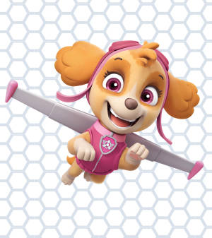 Paw Patrol Skye wallpaper — Oppo Find N Ταπετσαρία