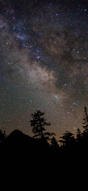 Pretty Galaxy Mountain Forest — iPhone 12 Ταπετσαρία