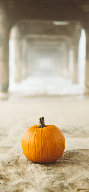 Pumpkin On Sand, A Thanksgiving iPhone Background — Samsung S23 Ταπετσαρία