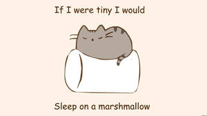 Ταπετσαρία Pusheen κοιμάται πάνω σε marshmallow — Προφύλαξη οθόνης Ταπετσαρία