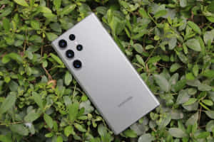 Samsung S23 Ultra σε Πράσινο Φόντο Φύλλων — Samsung galaxy s22 Ταπετσαρία