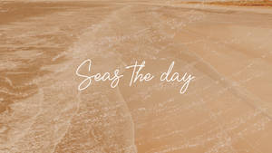 Seas The Day Κρεμ Αισθητική