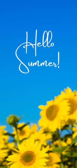 Iphone X Summer Background — Oppo F33 Ταπετσαρία