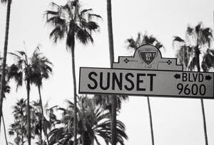 Ταπετσαρία Sunset Boulevard Ασπρόμαυρο — Ηλιοβασίλεμα λεωφόρος Ταπετσαρία