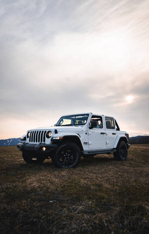 Ταπετσαρία Super White Wrangler Jeep — Honor Pad Ταπετσαρία