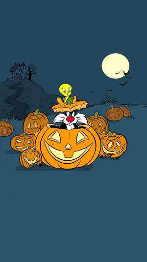 Ταπετσαρία Sylvester σε κολοκύθα καρτούν Halloween