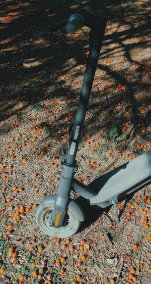 Xiaomi Scooter Bike — Xiaomi Ταπετσαρία