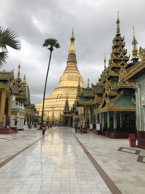 Ταπετσαρία Yangon Συγκρότημα Shwedagon — Ουδέτερο Ταπετσαρία