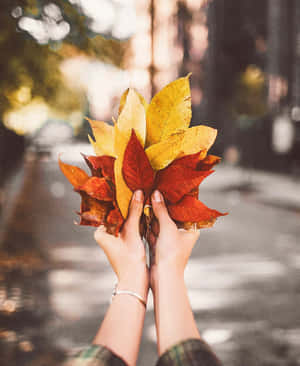 Αισθητικές φθινοπωρινές εικόνες — Φθινόπωρο Ταπετσαρία