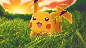 Ταπετσαρία του Pikachu στο χωράφι με το ηλιοβασίλεμα πίσω του.