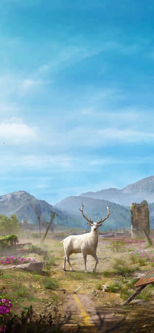Iphone Xs Max Far Cry 5 Φόντο — Nubia Neo 5 Ταπετσαρία