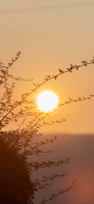 1290x2796 — Huawei Enjoy 70X Energy Ταπετσαρία