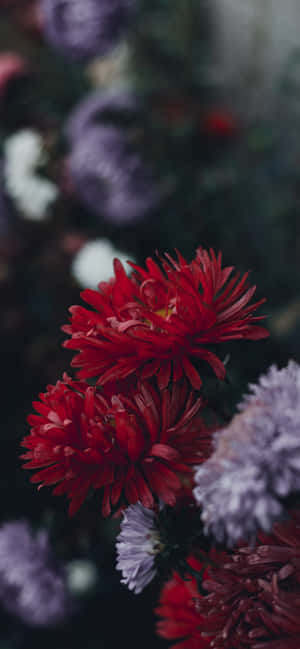 Iphone Flowers — iPhone 15 Pro Max Ταπετσαρία