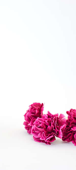 1080x2400 — IQOO Neo11 Ultra Ταπετσαρία