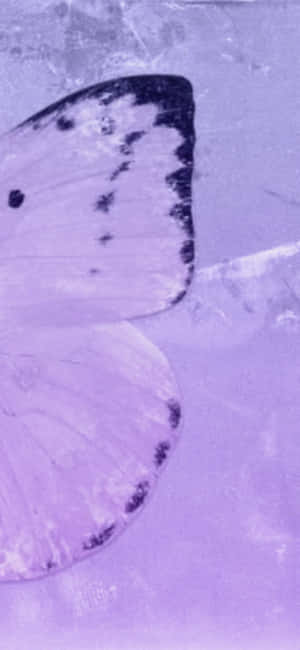 Aesthetic Purple Pictures — Tecno Camon Air Ταπετσαρία