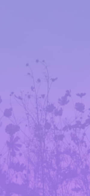 Aesthetic Purple Pictures — Tecno Camon Ταπετσαρία