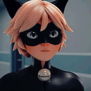 Εικόνες Cat Noir