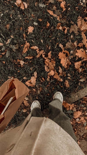 Εικόνες Aesthetic Brown — Ανοιχτό καφέ αισθητική Ταπετσαρία